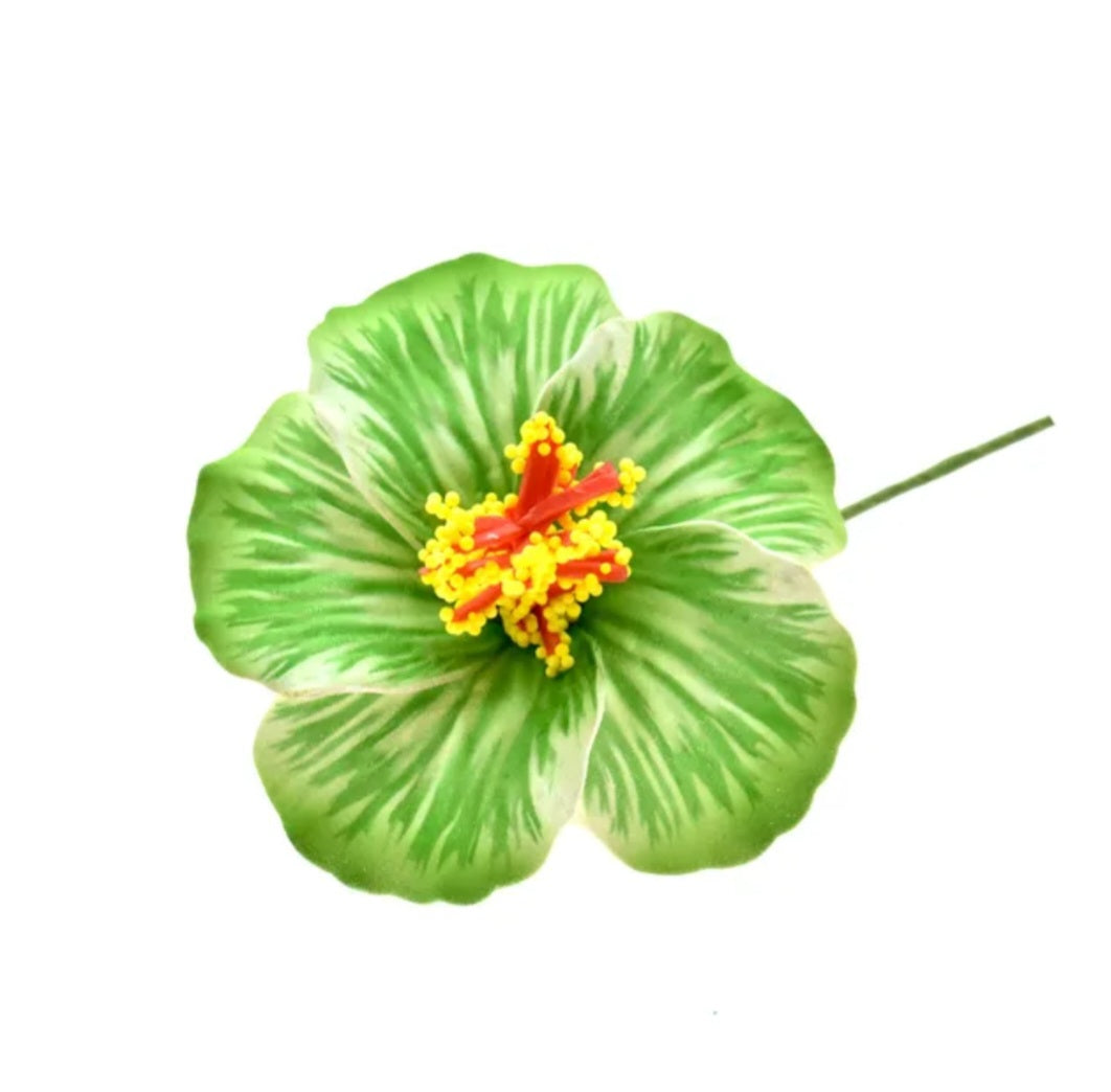 Petite hibiscus