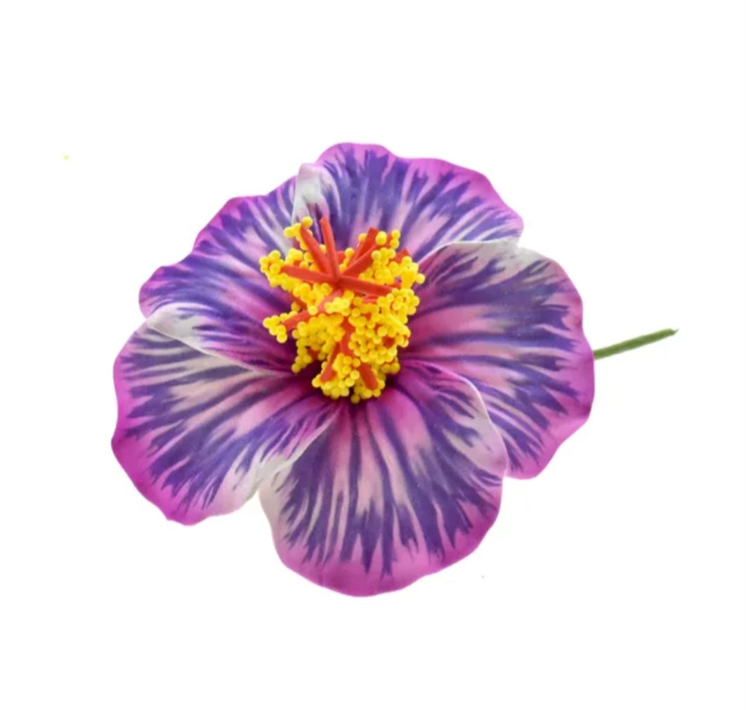 Petite hibiscus