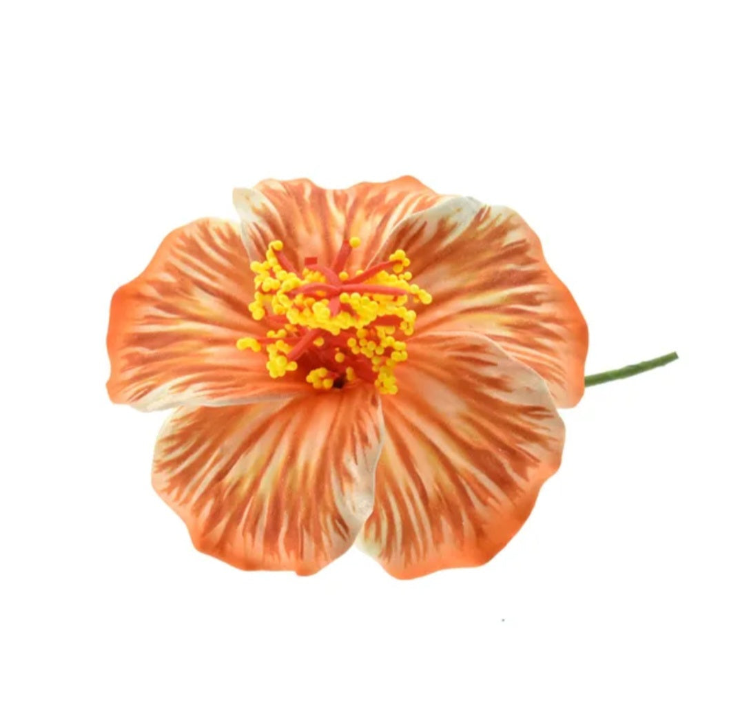 Petite hibiscus