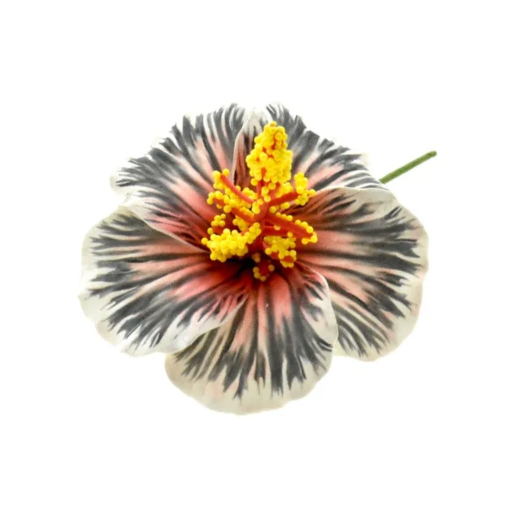 Petite hibiscus
