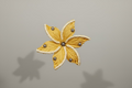 Pince fleur marron togi